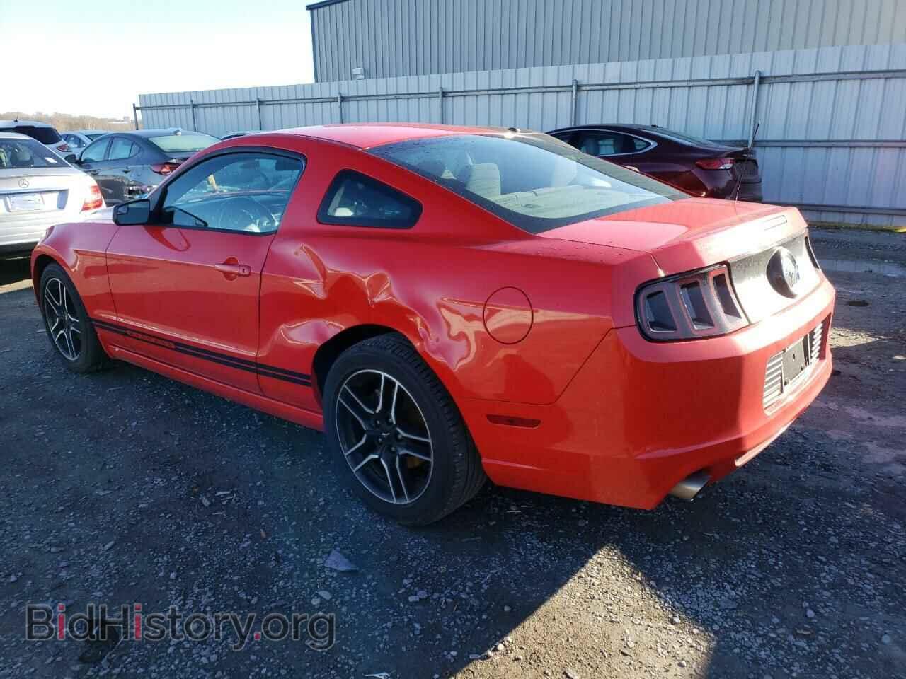 2014 FORD MUSTANG - VIN: 1ZVBP8AM1E5287117 - Фото 2