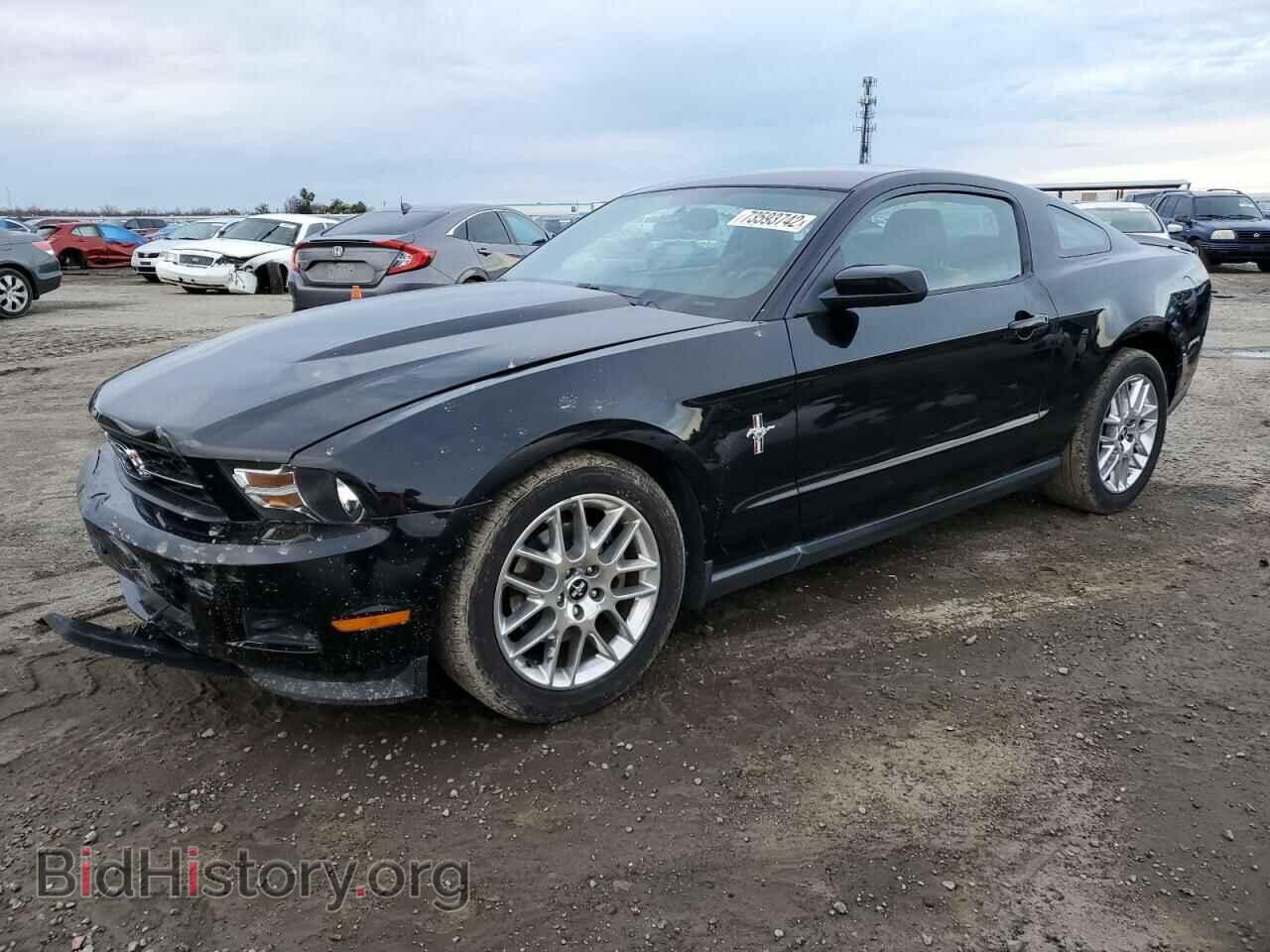 Фотография 1ZVBP8AM8C5270103 - FORD MUSTANG 2012