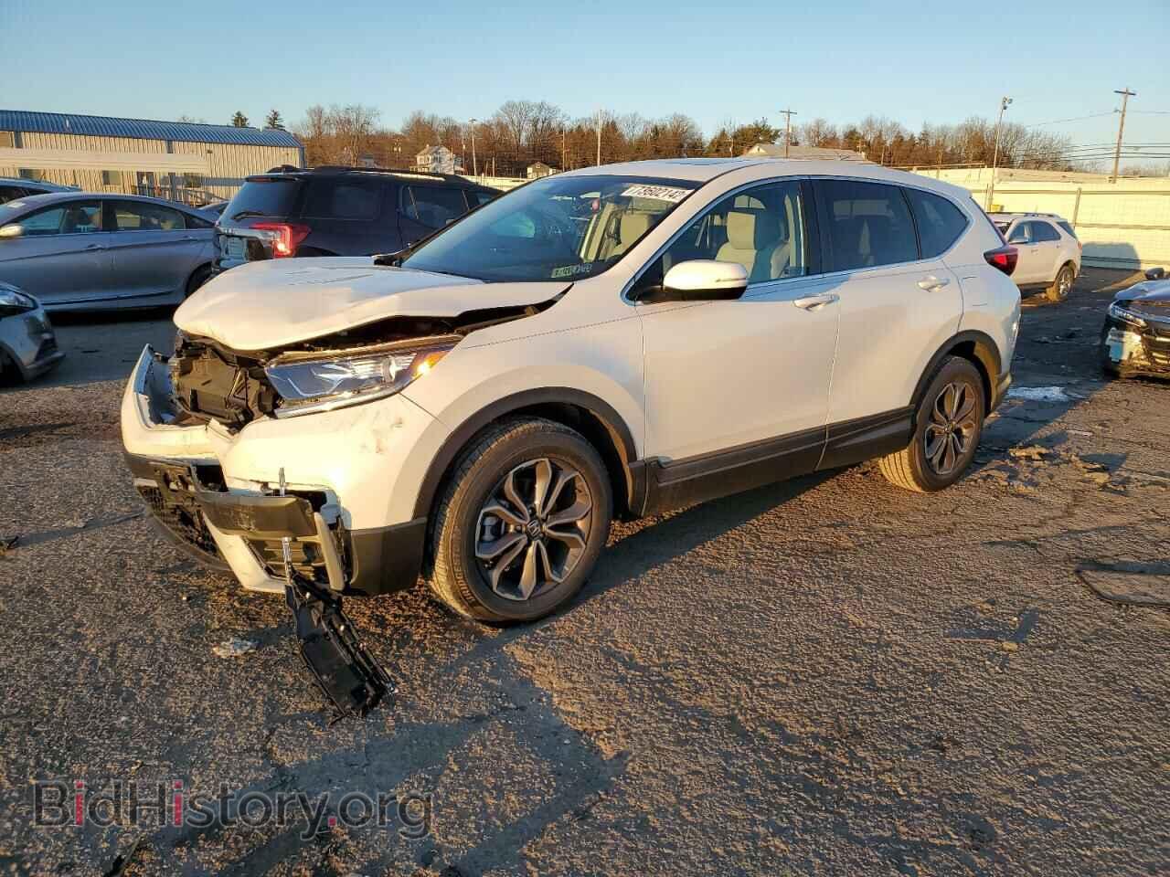 Photo 5J6RW2H89LL009532 - HONDA CRV 2020