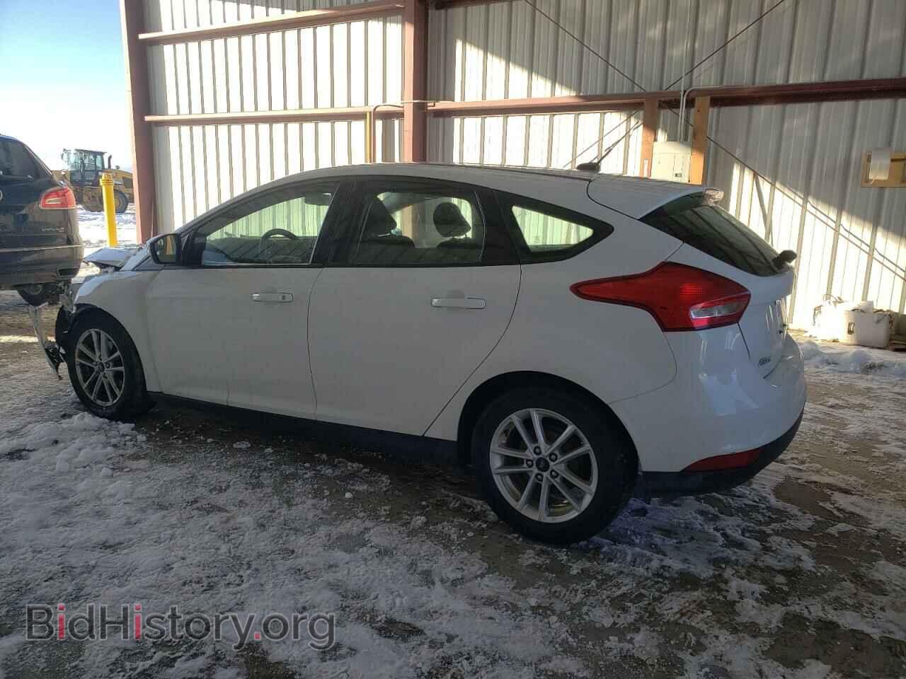 2017 FORD FOCUS - VIN: 1FADP3K21HL290875 - Фото 2