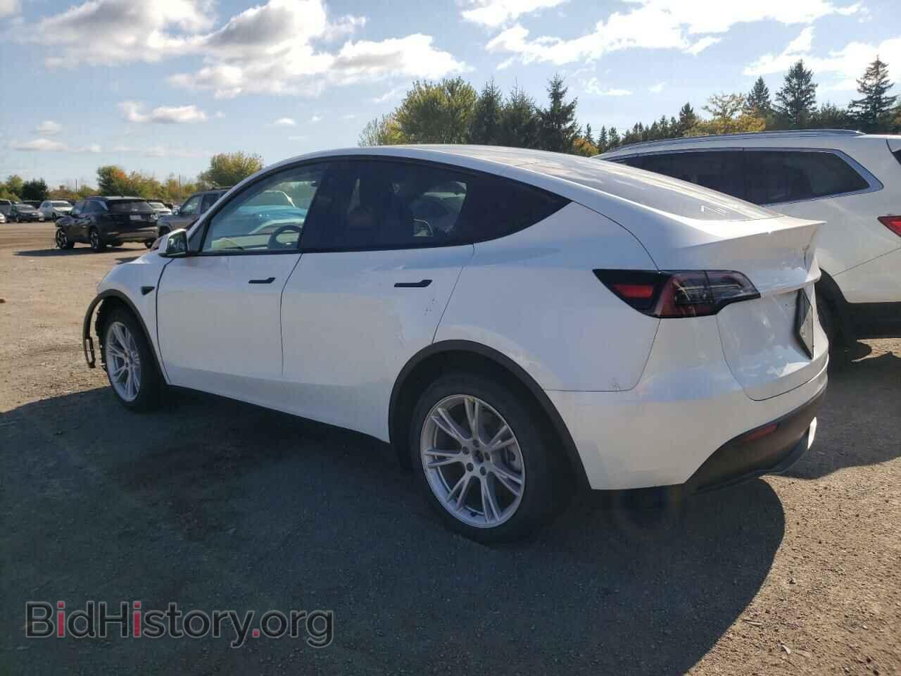 2023 TESLA MODEL Y - VIN: 7SAYGDEE7PF597317 - Фото 2