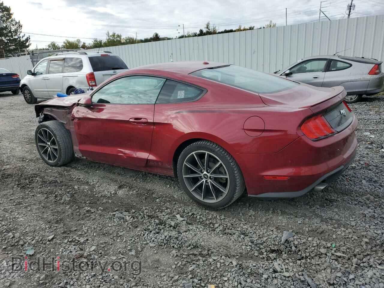 2019 FORD ALL Models - VIN: 1FA6P8TH5K5188712 - Фото 2