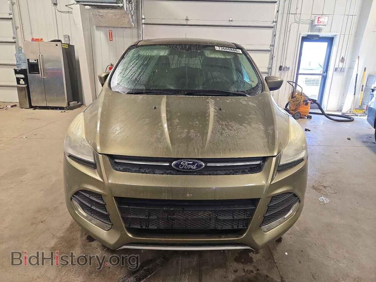 2013 FORD ESCAPE - VIN: 1FMCU0GX1DUD85888 - Photo 5