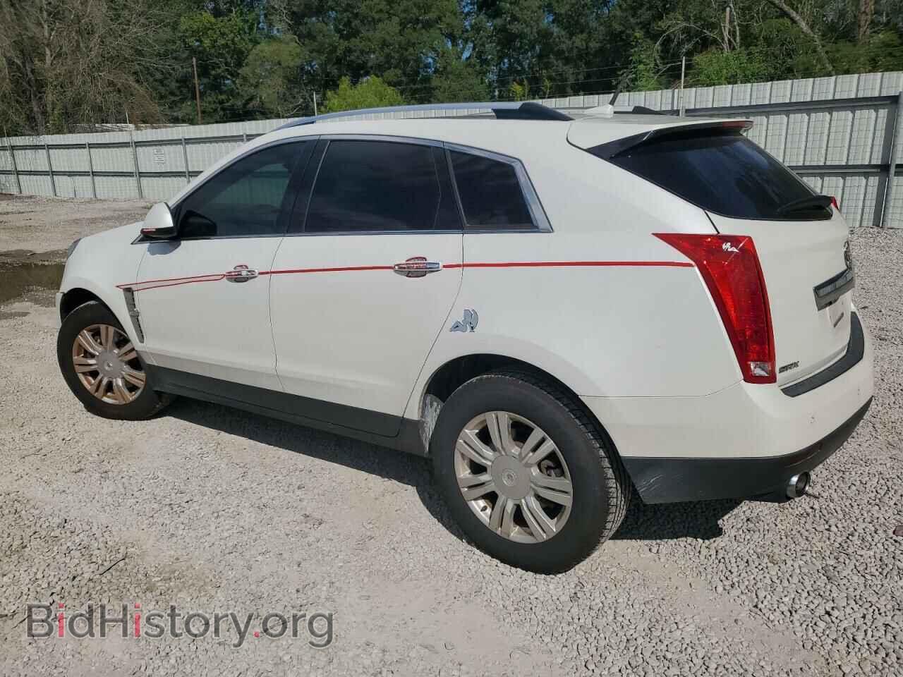2011 CADILLAC SRX - VIN: 3GYFNAEY1BS513103 - Фото 2