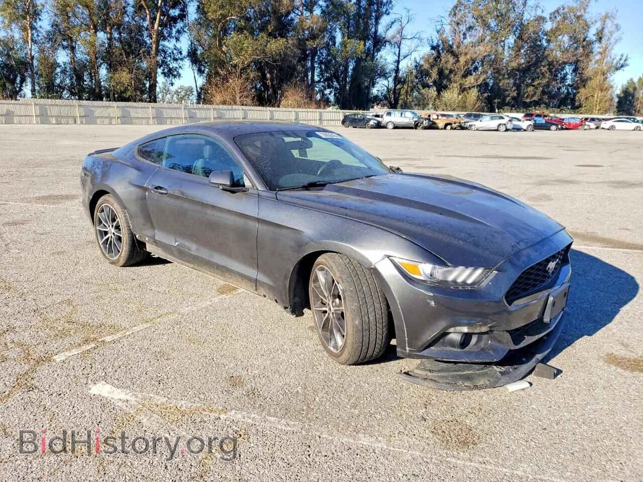 2015 FORD ALL Models - VIN: 1FA6P8TH7F5343203 - Фото 4