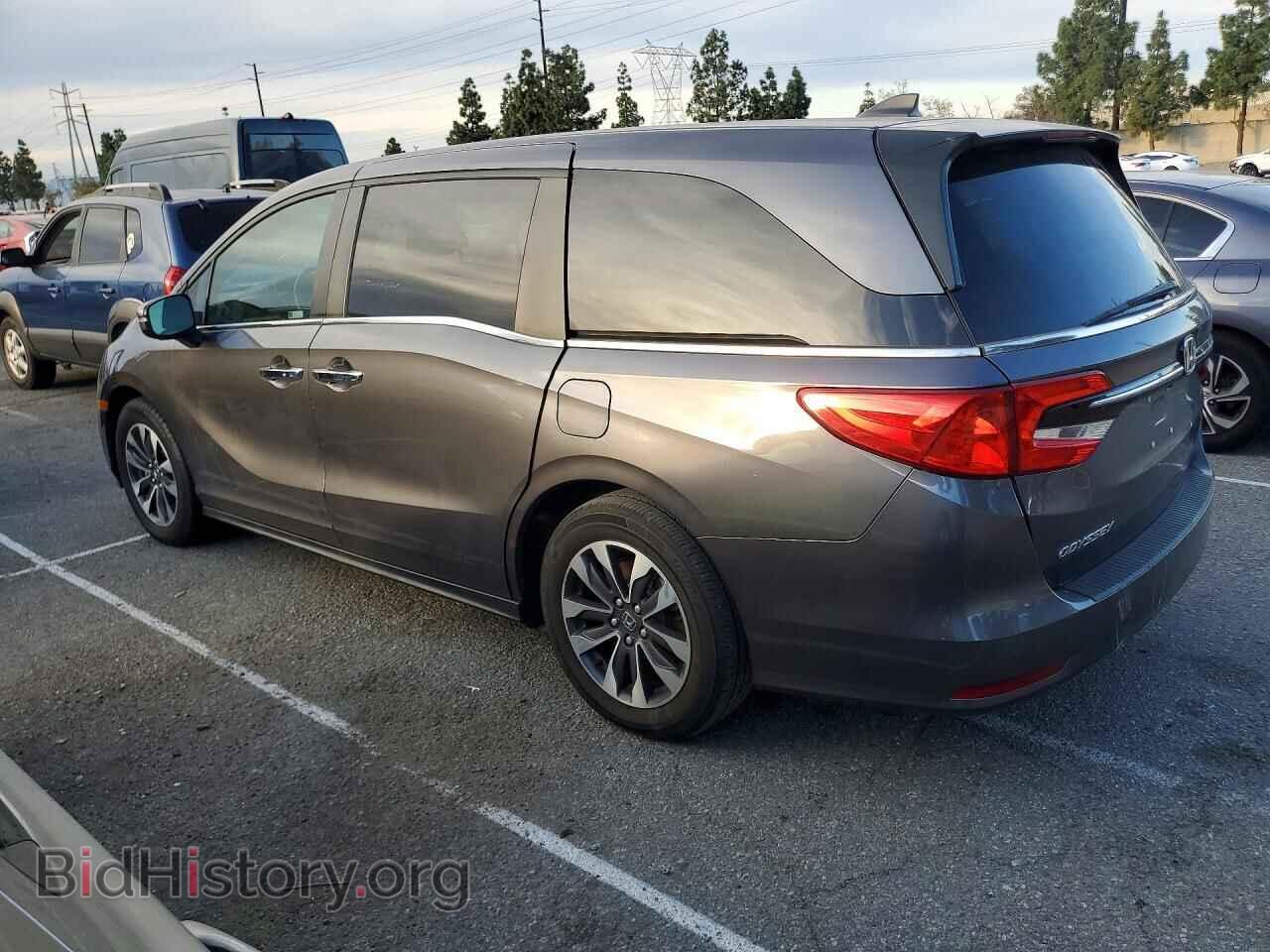2024 HONDA All Models - VIN: 5FNRL6H69RB049769 - Фото 2