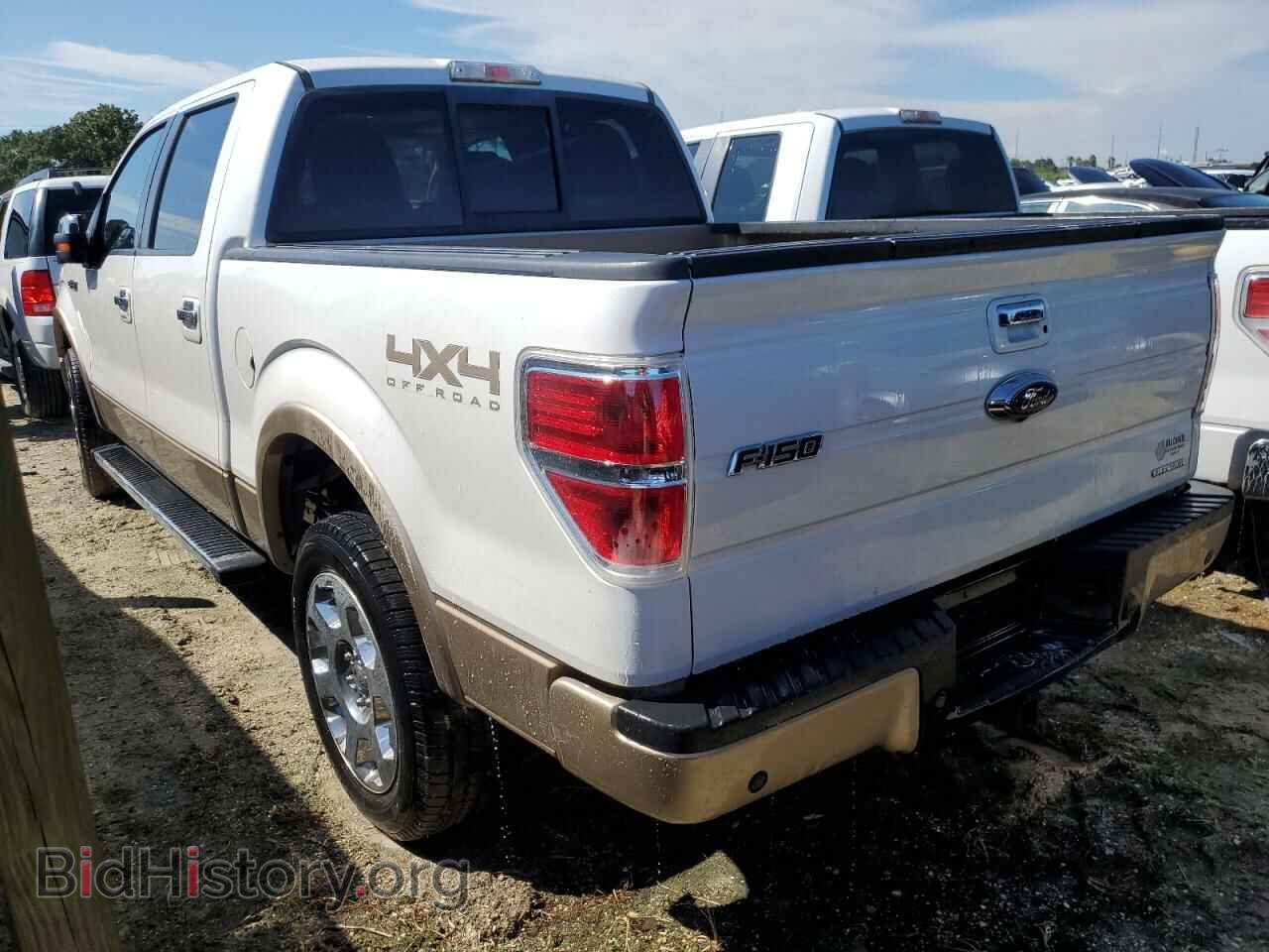 2012 FORD F-150 - VIN: 1FTFW1EF7CKD12661 - Фото 2