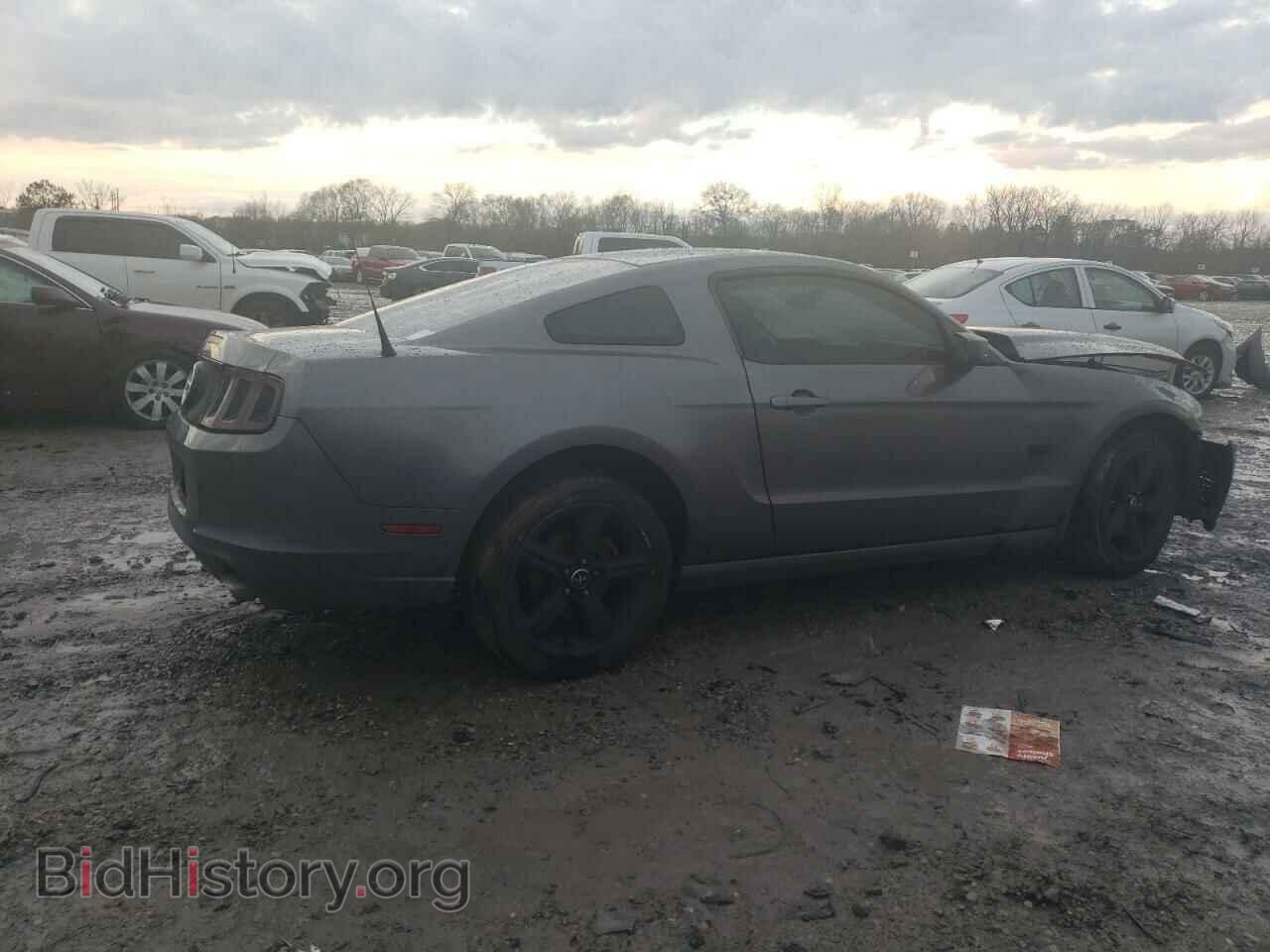 2014 FORD MUSTANG - VIN: 1ZVBP8AM6E5308558 - Фото 3
