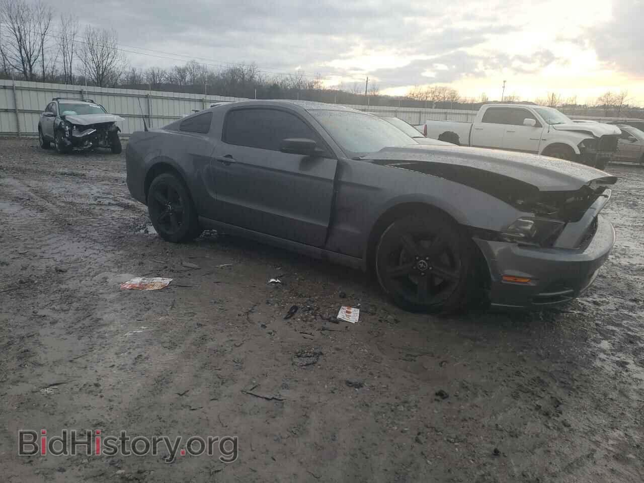 2014 FORD MUSTANG - VIN: 1ZVBP8AM6E5308558 - Фото 4