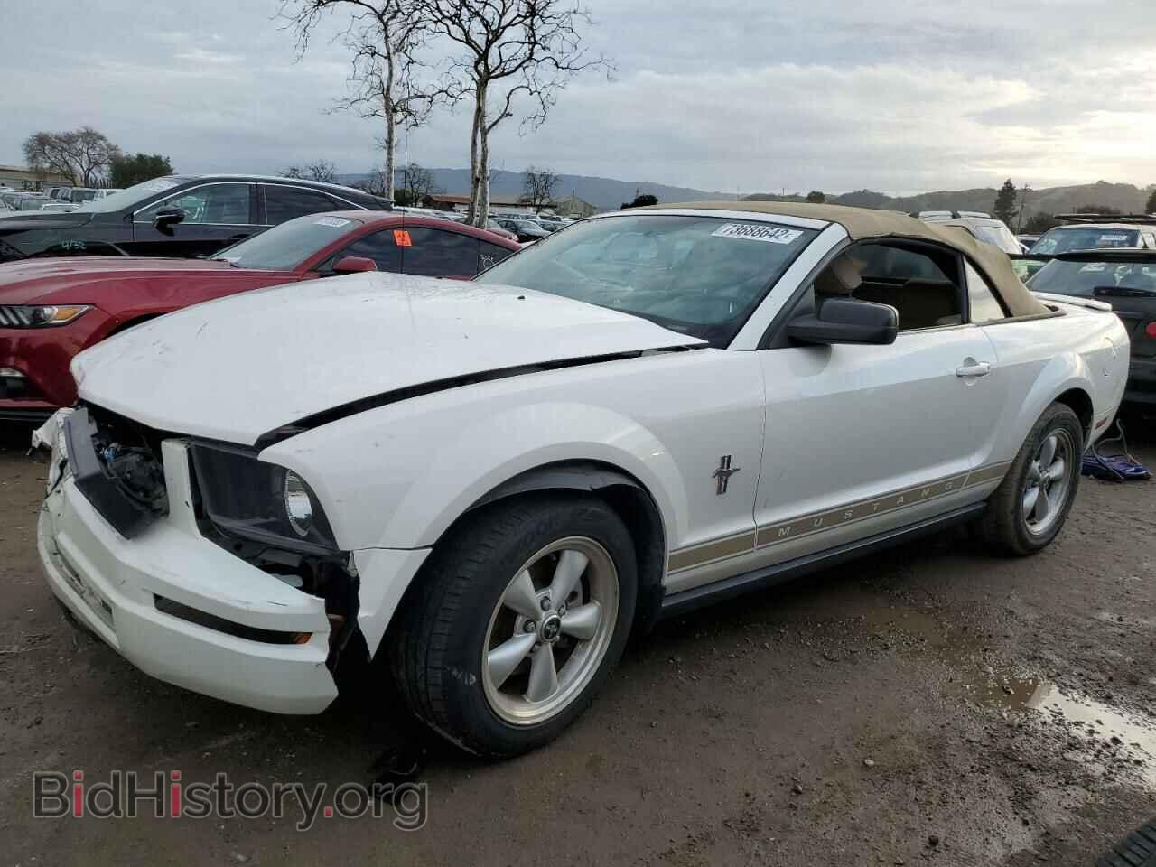 Фотография 1ZVFT84N975267279 - FORD MUSTANG 2007