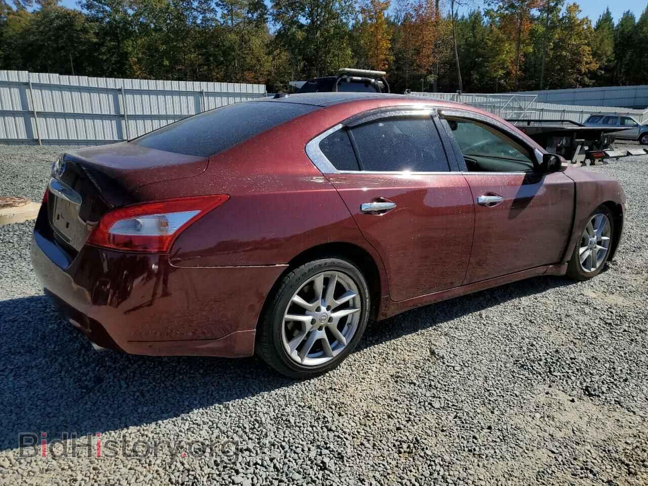 2010 NISSAN MAXIMA - VIN: 1N4AA5AP9AC852282 - Фото 3