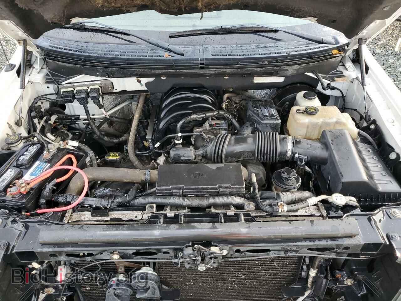 2009 FORD F-150 - VIN: 1FTRX14859FA66563 - Фото 11