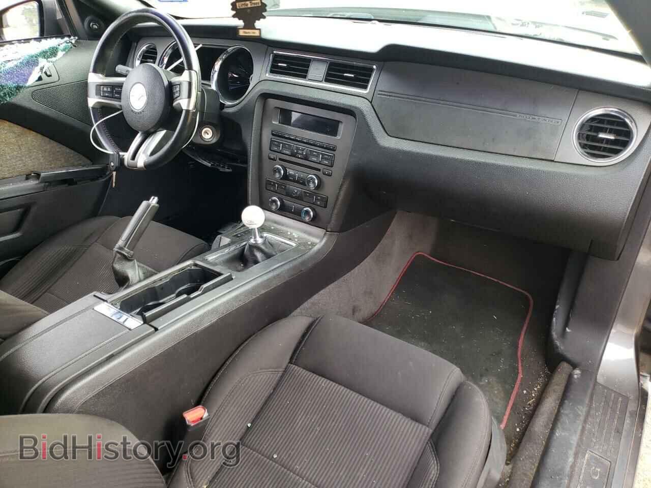 2013 FORD MUSTANG - VIN: 1ZVBP8CF4D5218676 - Фото 8