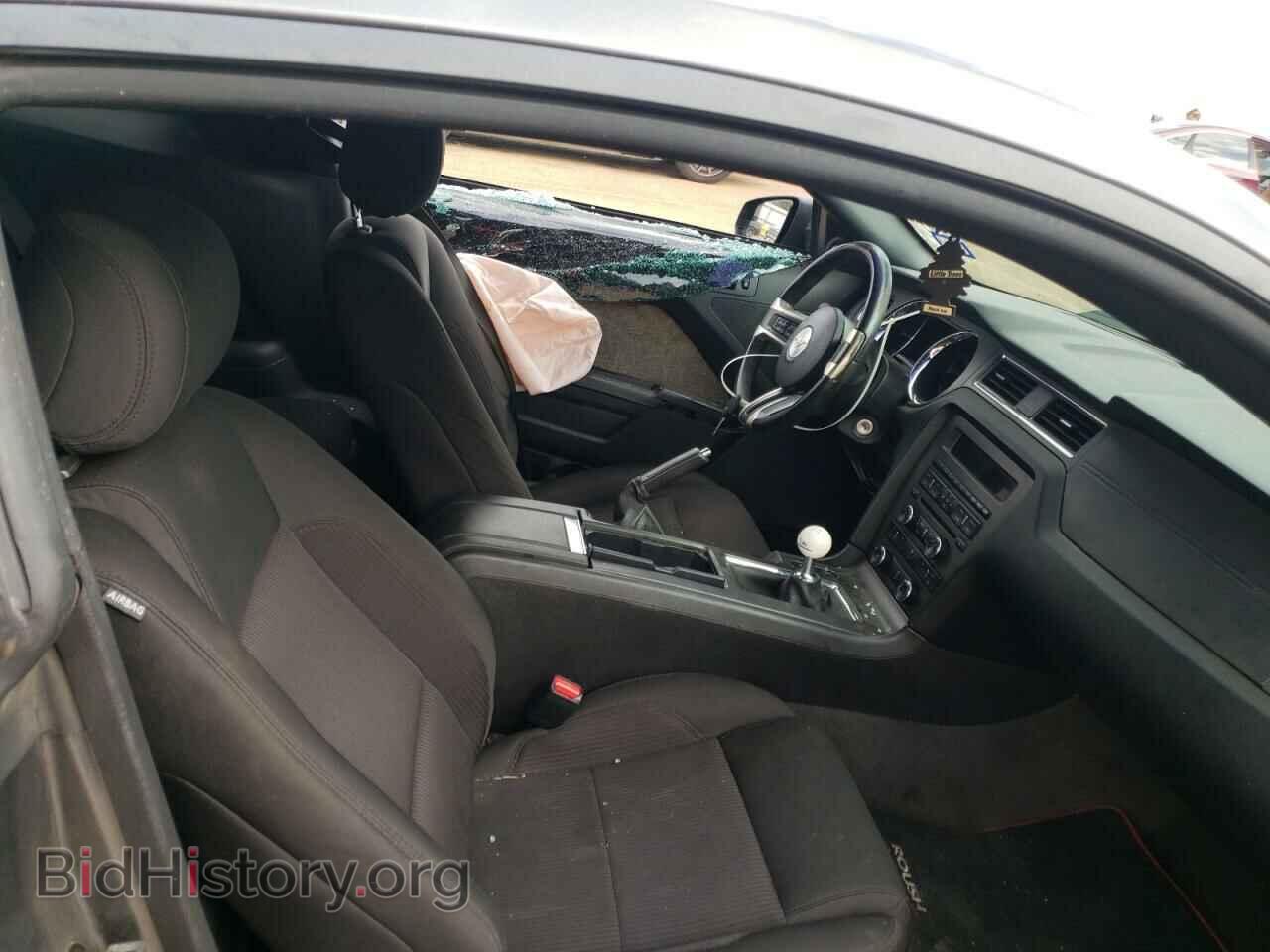 2013 FORD MUSTANG - VIN: 1ZVBP8CF4D5218676 - Фото 10