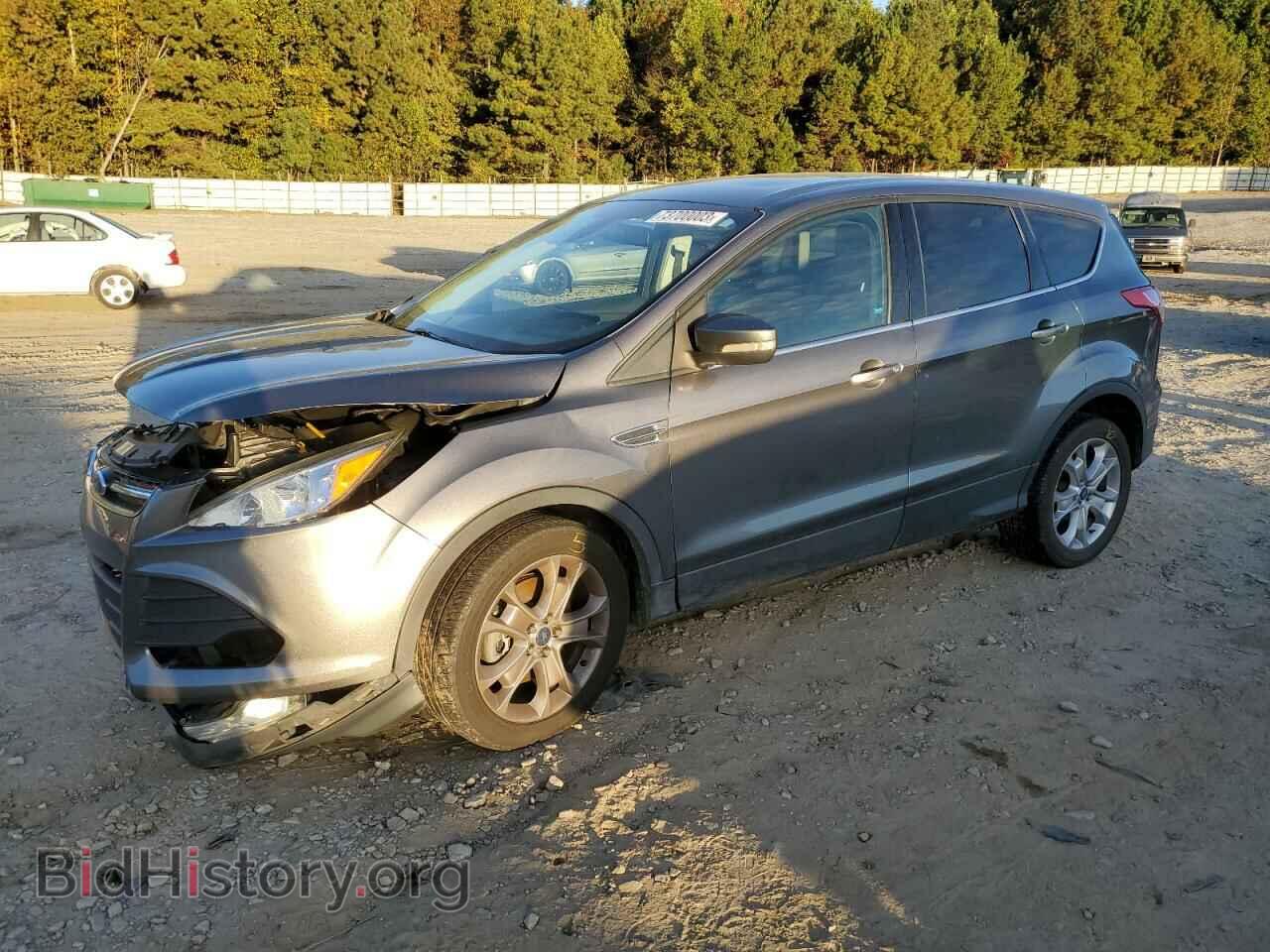 Фотография 1FMCU0H98DUB09045 - FORD ESCAPE 2013