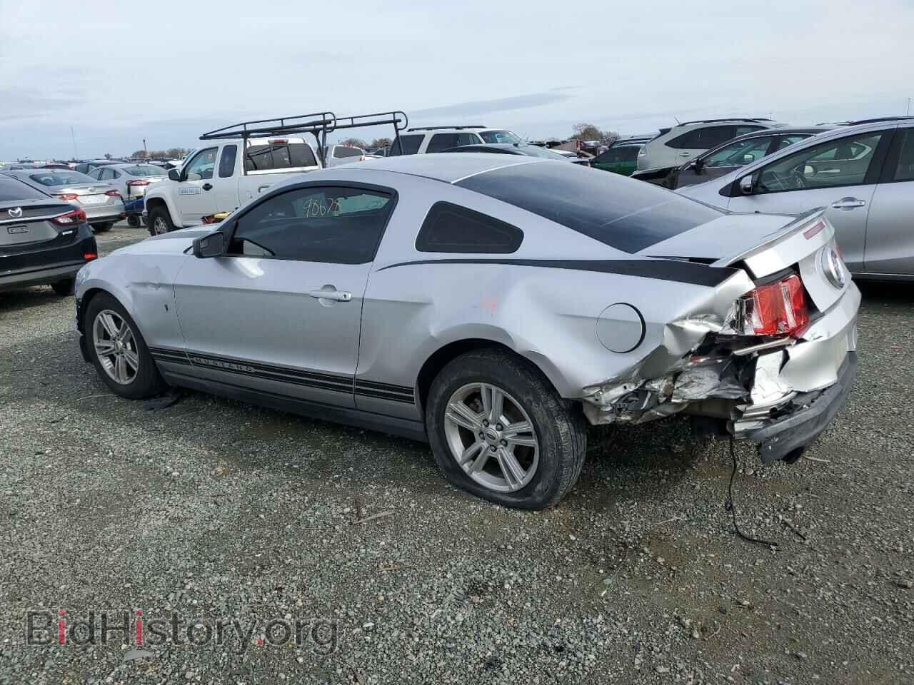 2012 FORD MUSTANG - VIN: 1ZVBP8AM8C5259232 - Фото 2