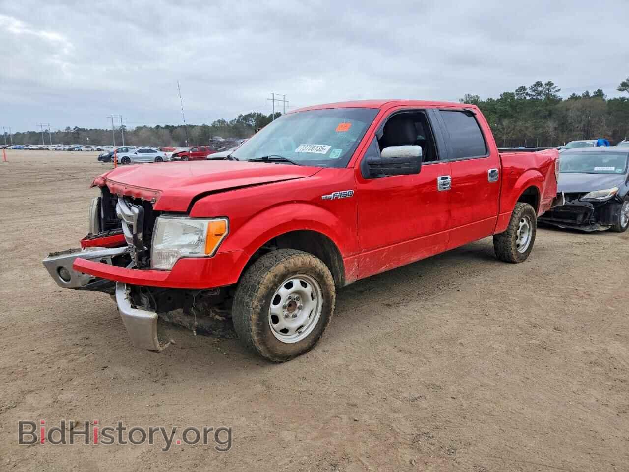 Фотография 1FTFW1CF4DFB68984 - FORD F-150 2013