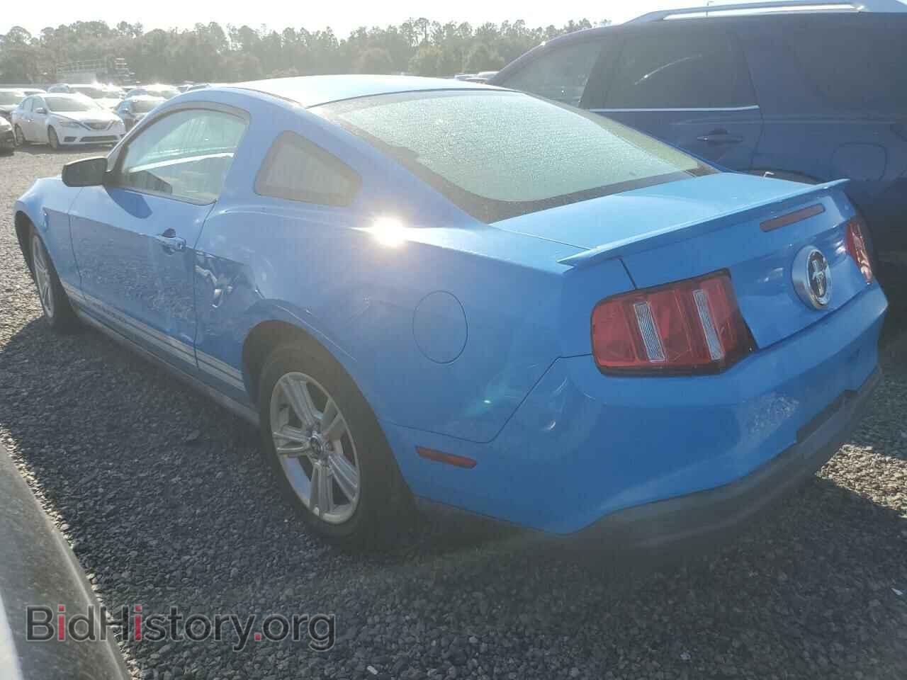 2010 FORD ALL Models - VIN: 1ZVBP8AN4A5120205 - Фото 2