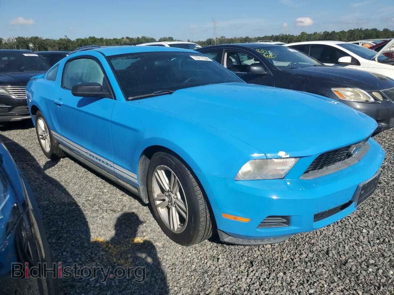 2010 FORD ALL Models - VIN: 1ZVBP8AN4A5120205 - Фото 4