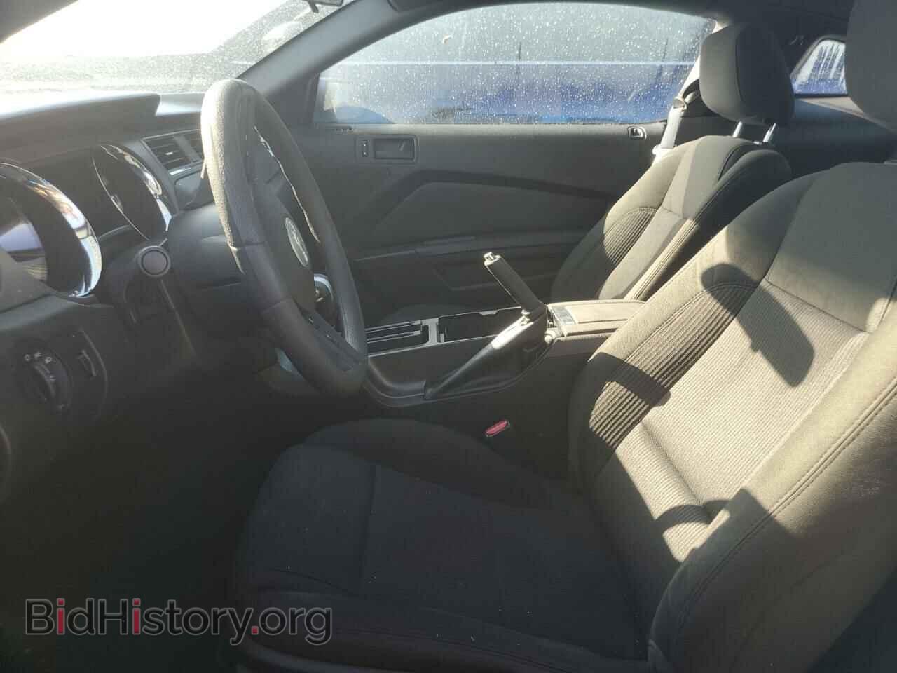 2010 FORD ALL Models - VIN: 1ZVBP8AN4A5120205 - Фото 7