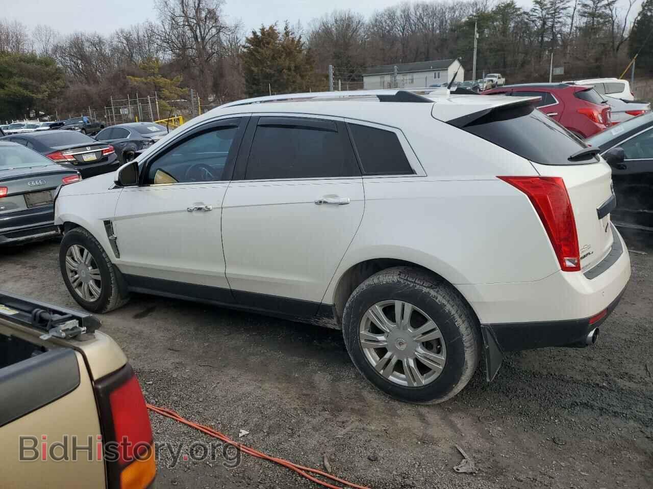 2010 CADILLAC SRX - VIN: 3GYFNDEY0AS525100 - Фото 2