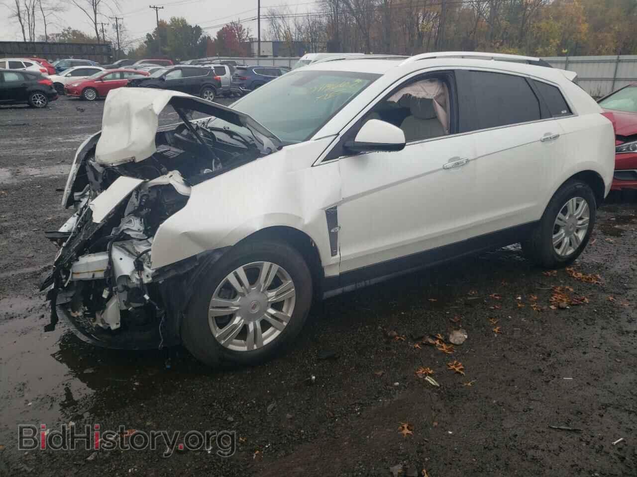Фотография 3GYFNDE3XCS654789 - CADILLAC SRX 2012