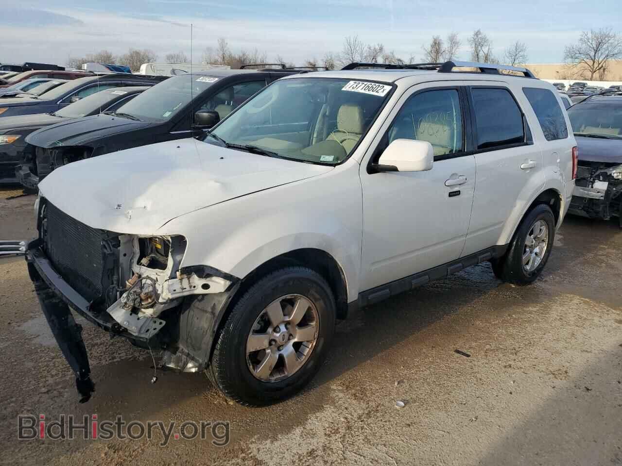 Фотография 1FMCU0EG8BKB78183 - FORD ESCAPE 2011