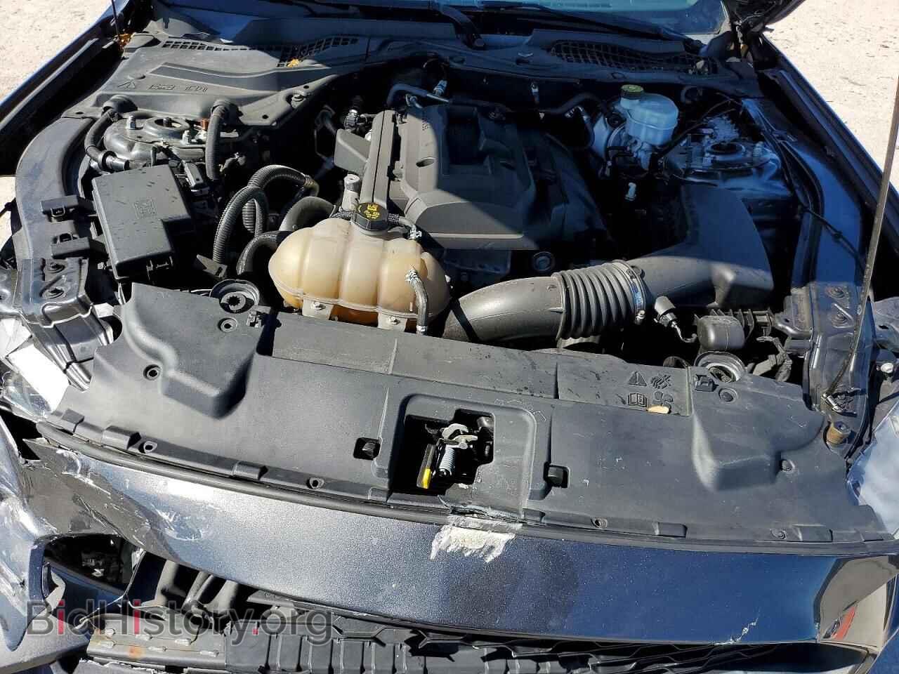 2019 FORD ALL Models - VIN: 1FA6P8THXK5178080 - Photo 11