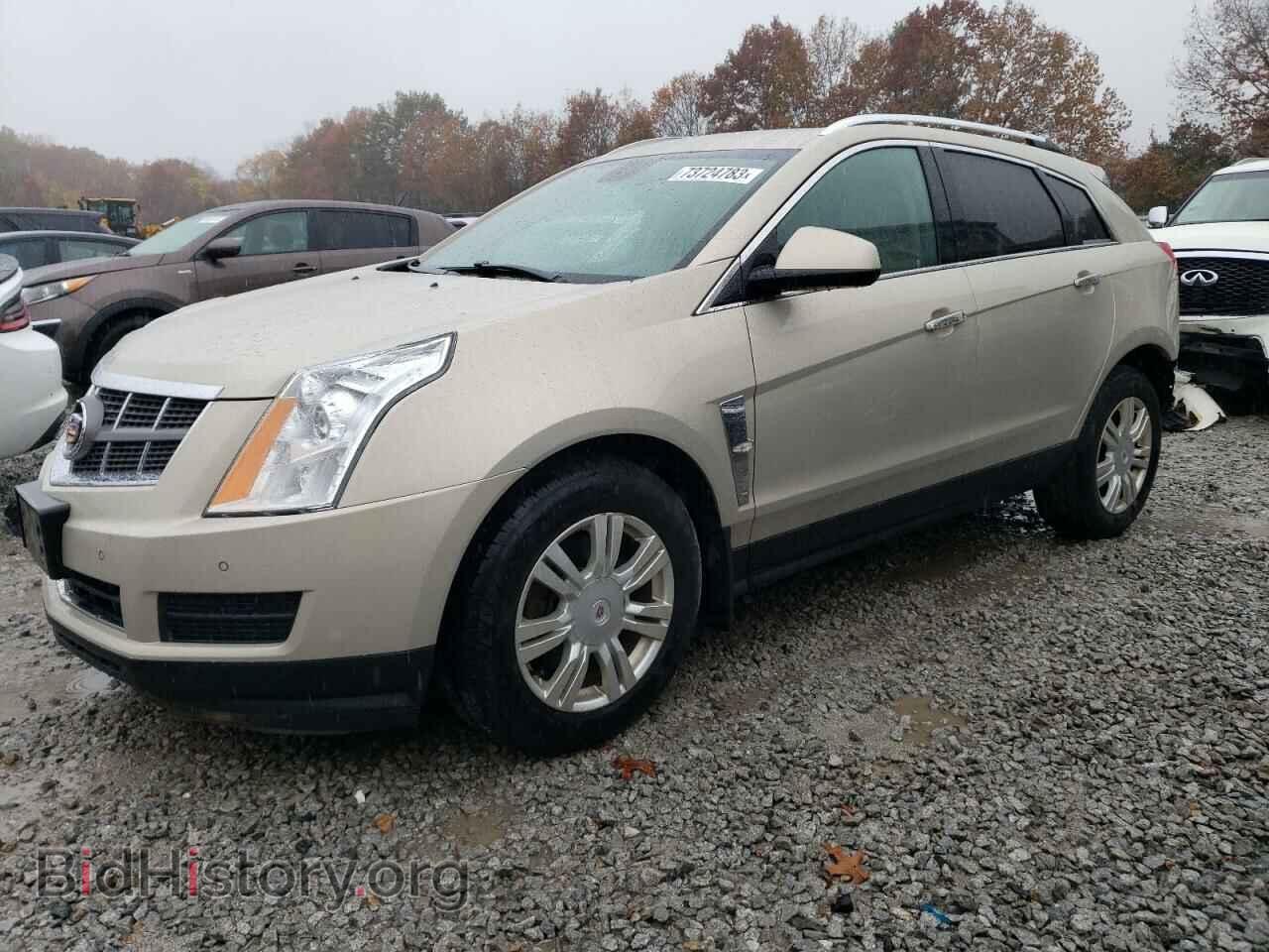 Фотография 3GYFNDE33CS511053 - CADILLAC SRX 2012