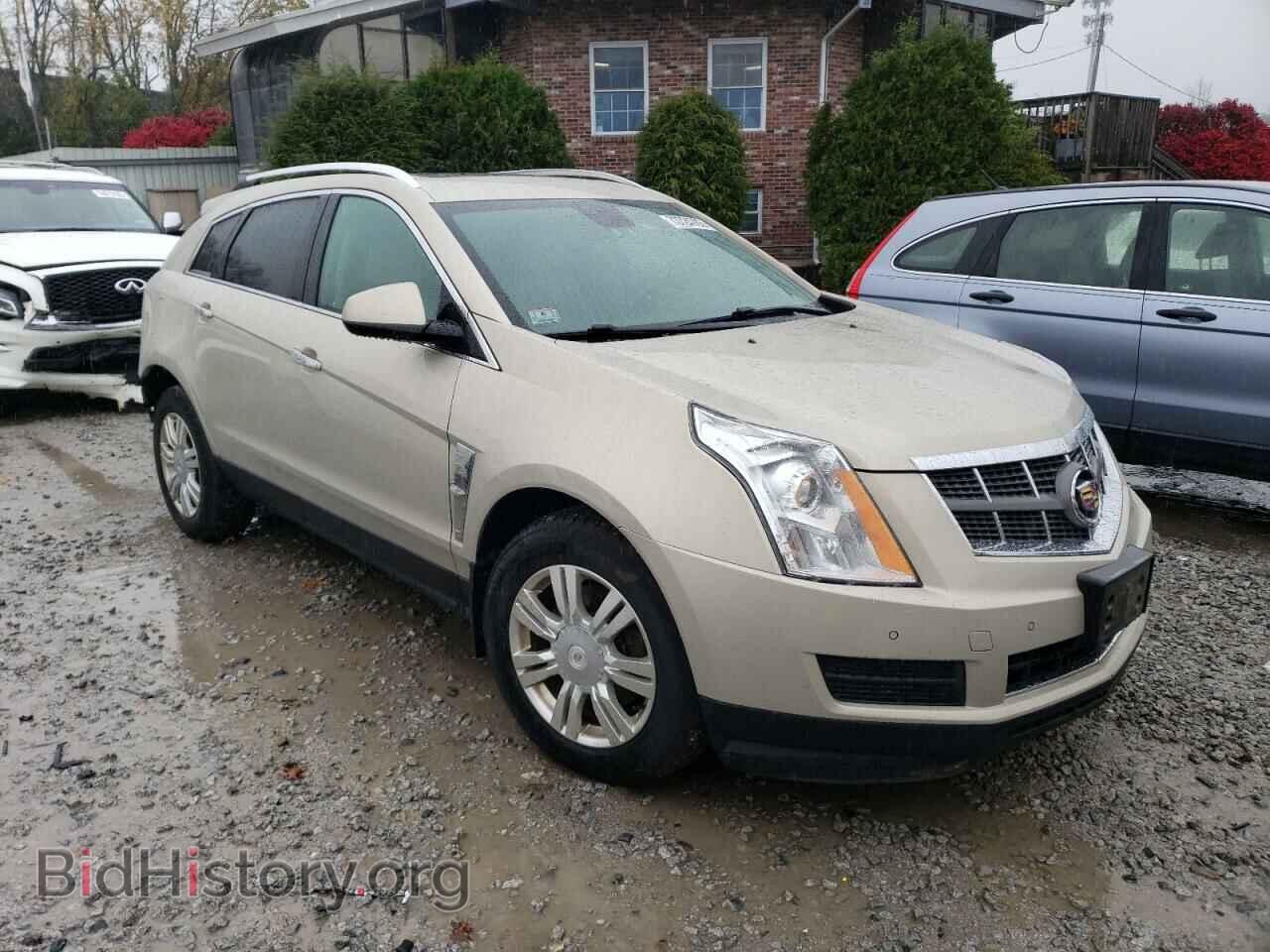 2012 CADILLAC SRX - VIN: 3GYFNDE33CS511053 - Фото 4