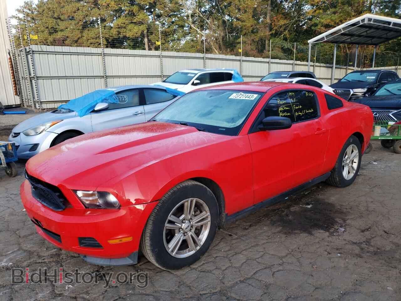 Photo 1ZVBP8AM7B5162120 - FORD ALL Models 2011