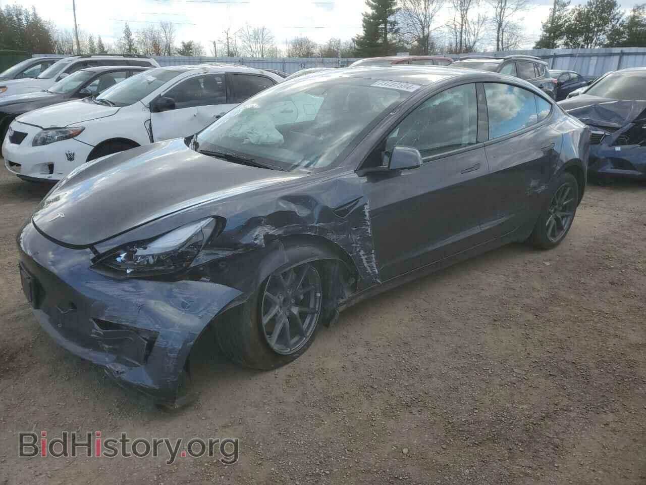 Фотография LRW3E1FA9PC921188 - TESLA MODEL 3 2023