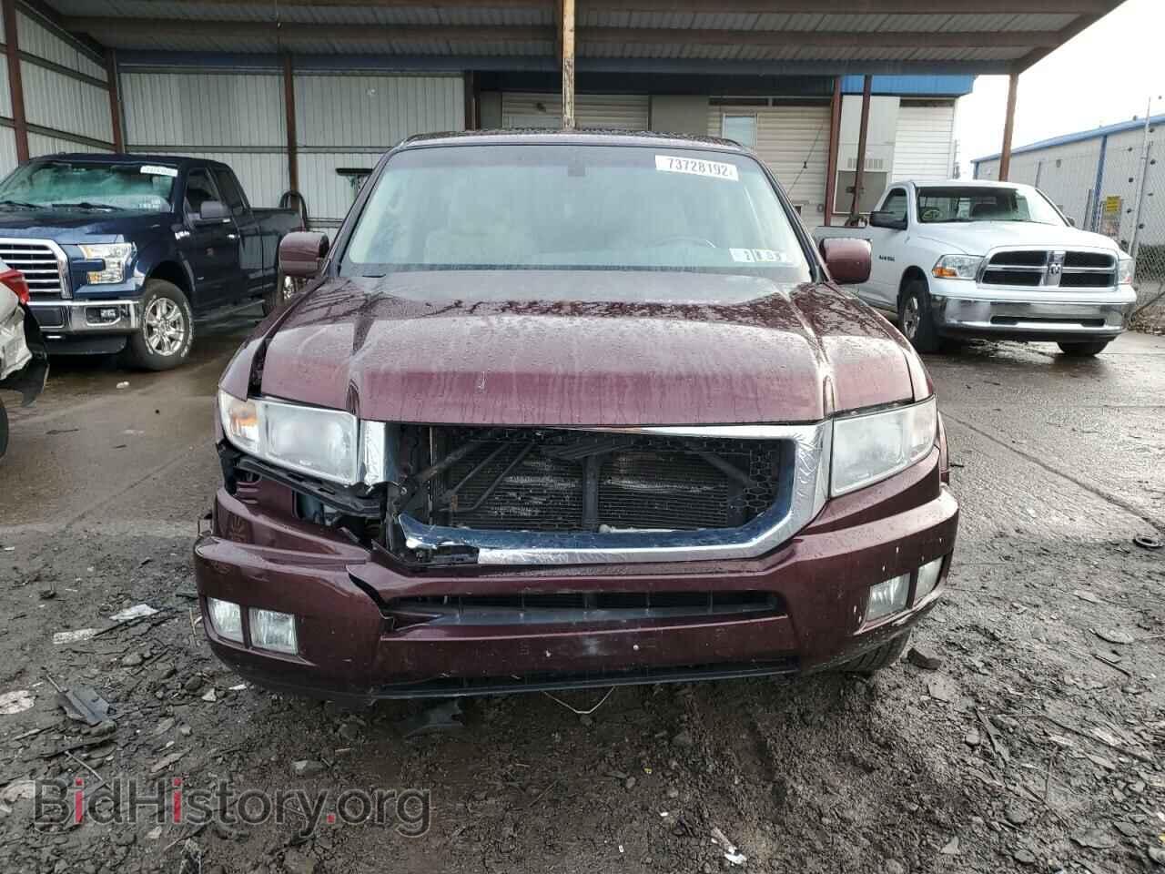 2009 HONDA RIDGELINE - VIN: 5FPYK16529B101830 - Фото 5