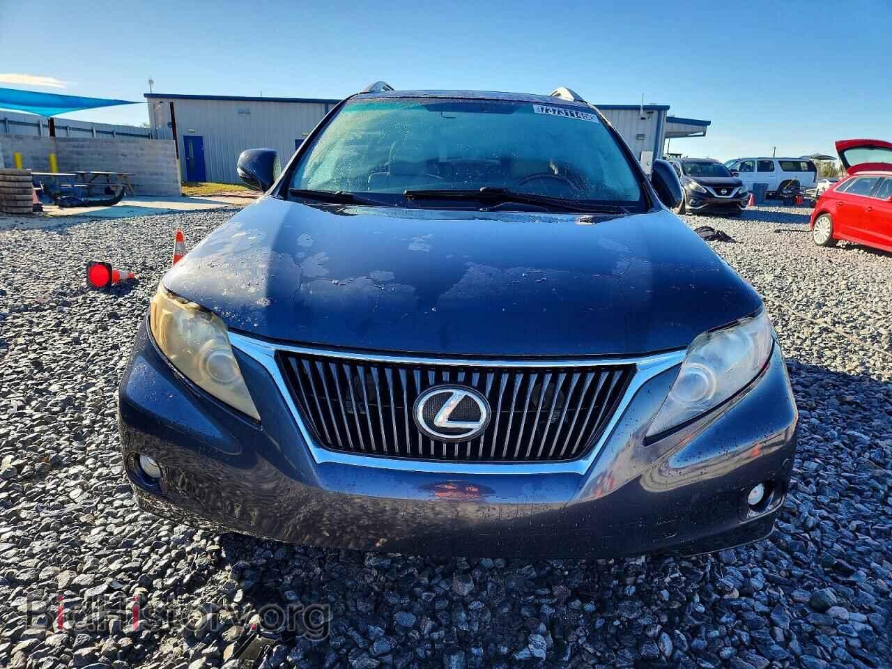 2011 LEXUS RX350 - VIN: 2T2BK1BA3BC092174 - Фото 5