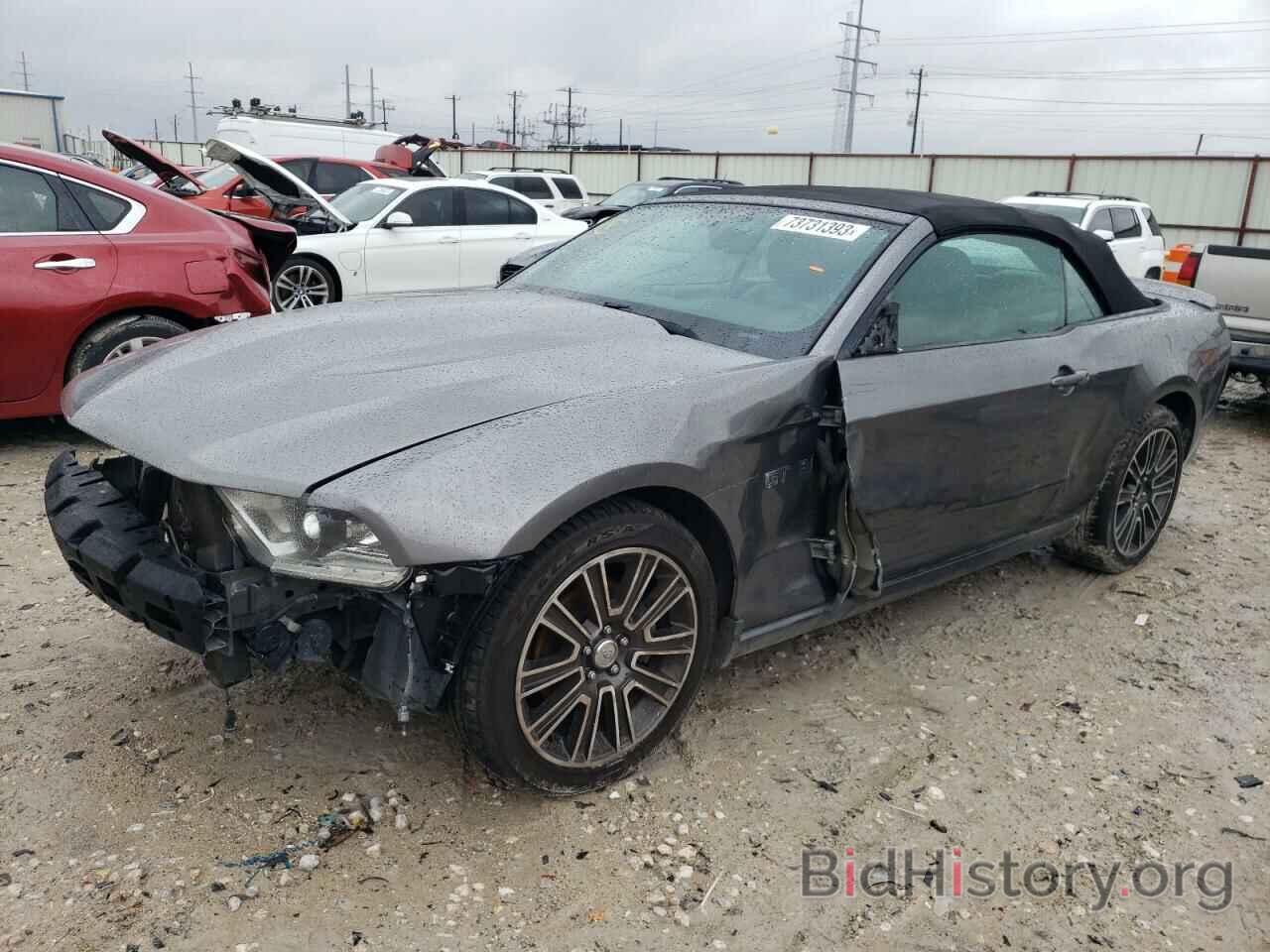 Photo 1ZVBP8FH8A5124129 - FORD MUSTANG 2010