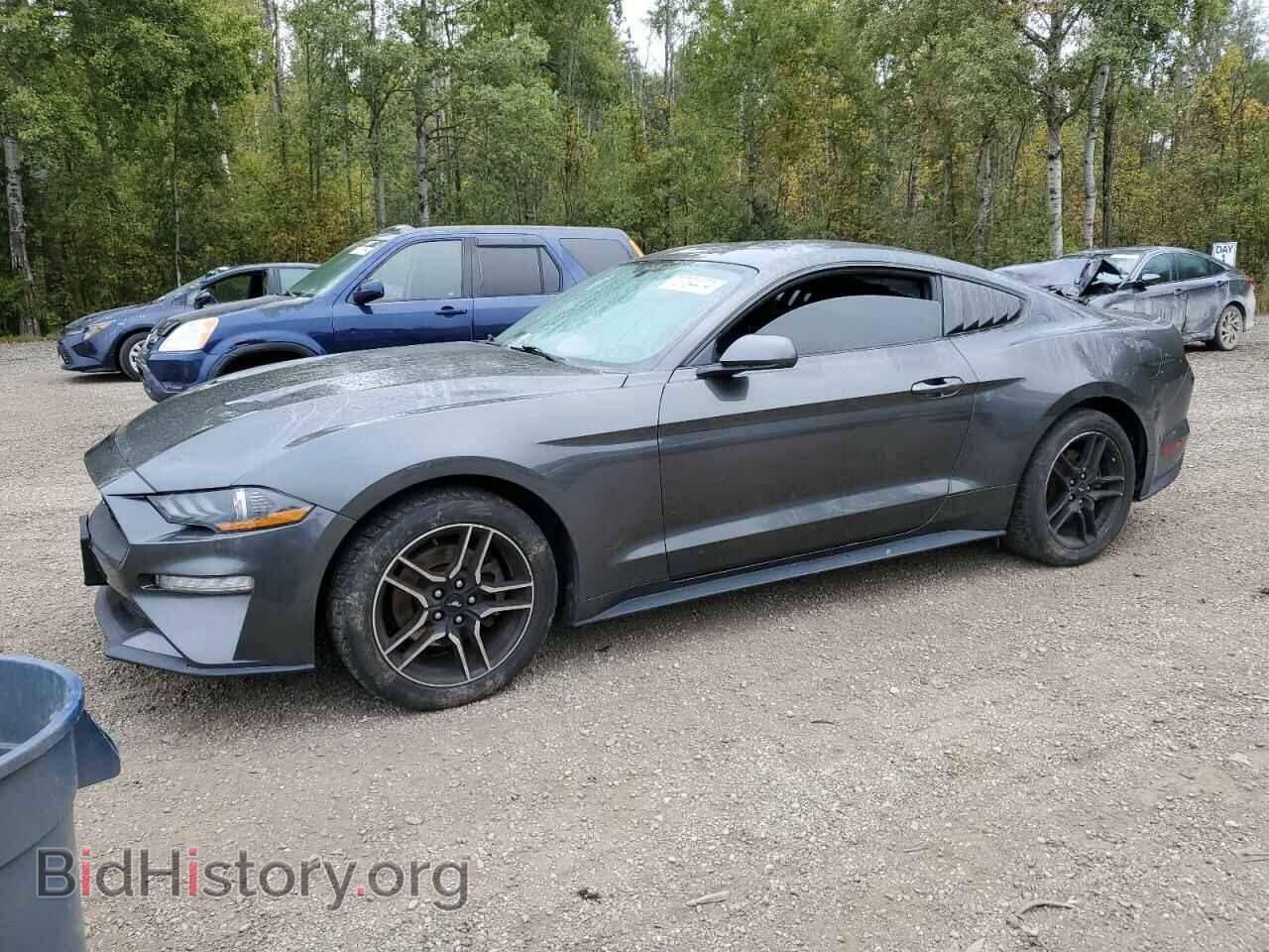 Фотография 1FA6P8TH3K5177367 - FORD ALL Models 2019