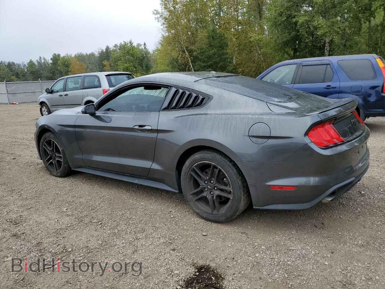 2019 FORD ALL Models - VIN: 1FA6P8TH3K5177367 - Фото 2
