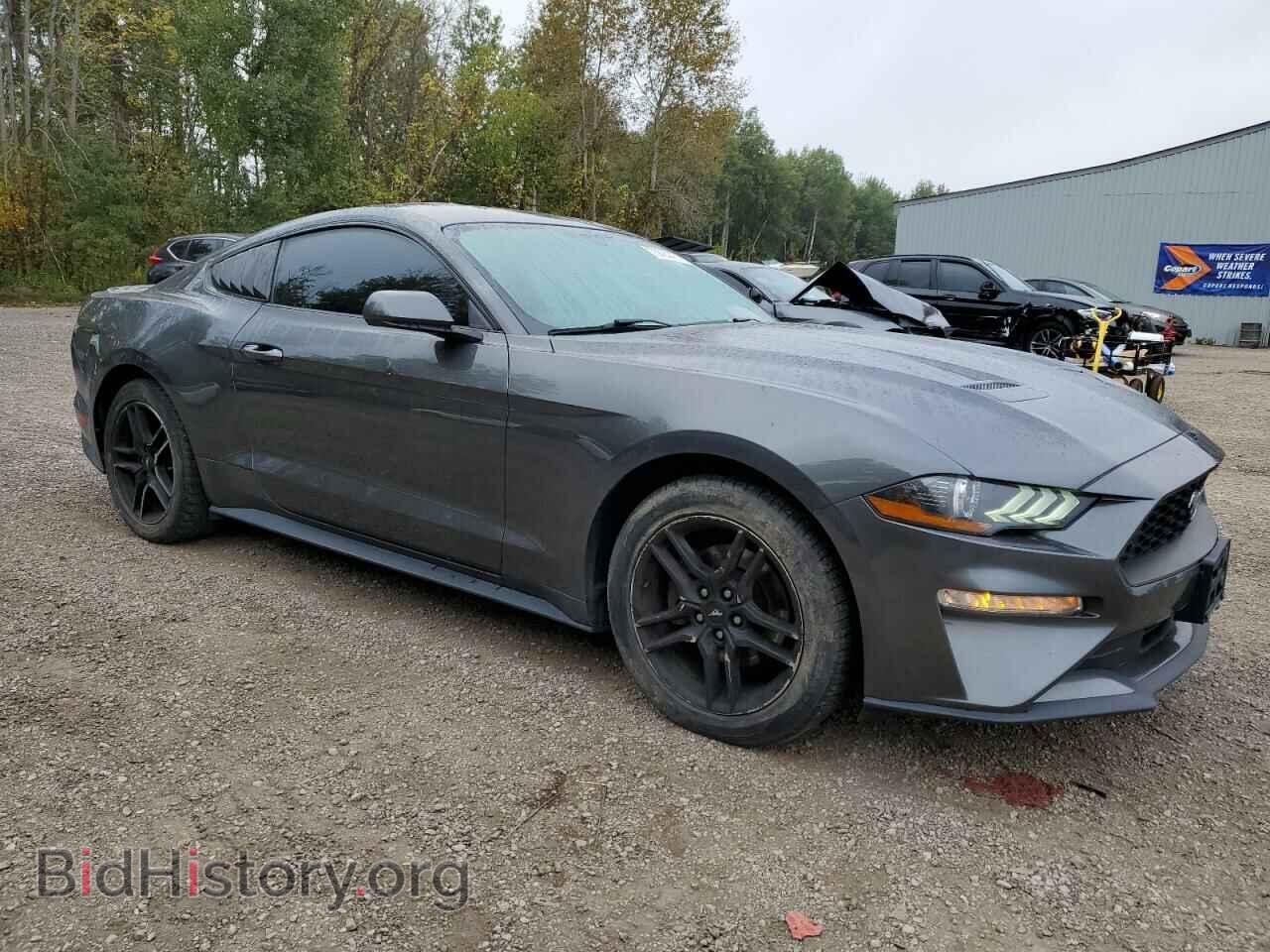 2019 FORD ALL Models - VIN: 1FA6P8TH3K5177367 - Фото 4