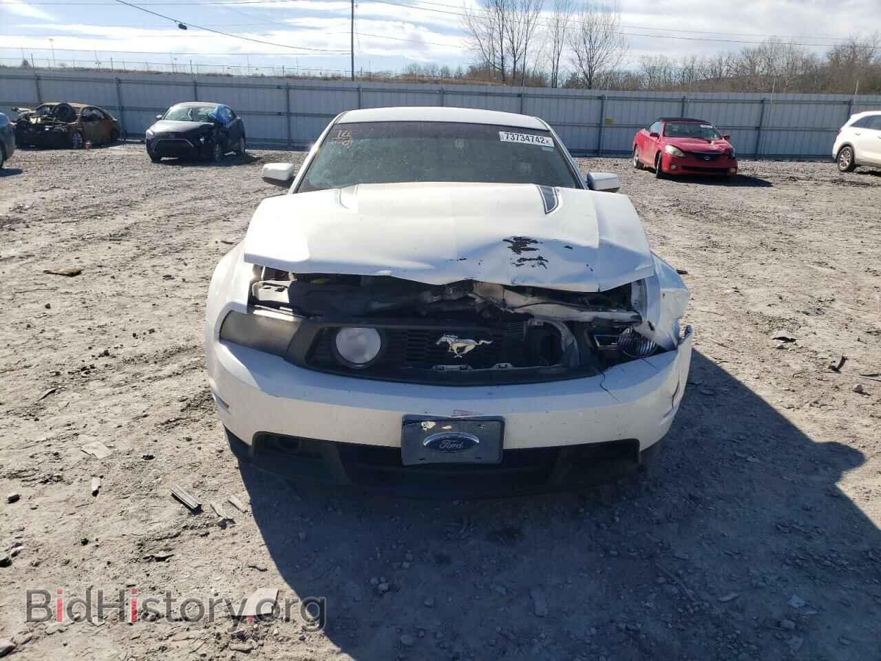 2011 FORD MUSTANG - VIN: 1ZVBP8CFXB5153619 - Фото 5