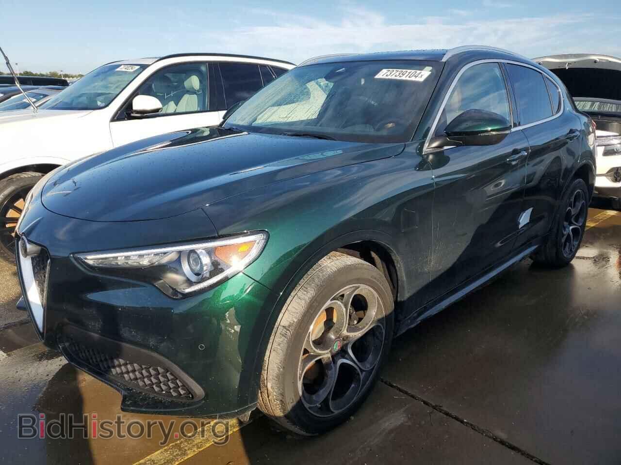 Photo ZASPAKBN2L7C97565 - ALFA ROMEO STELVIO 2020