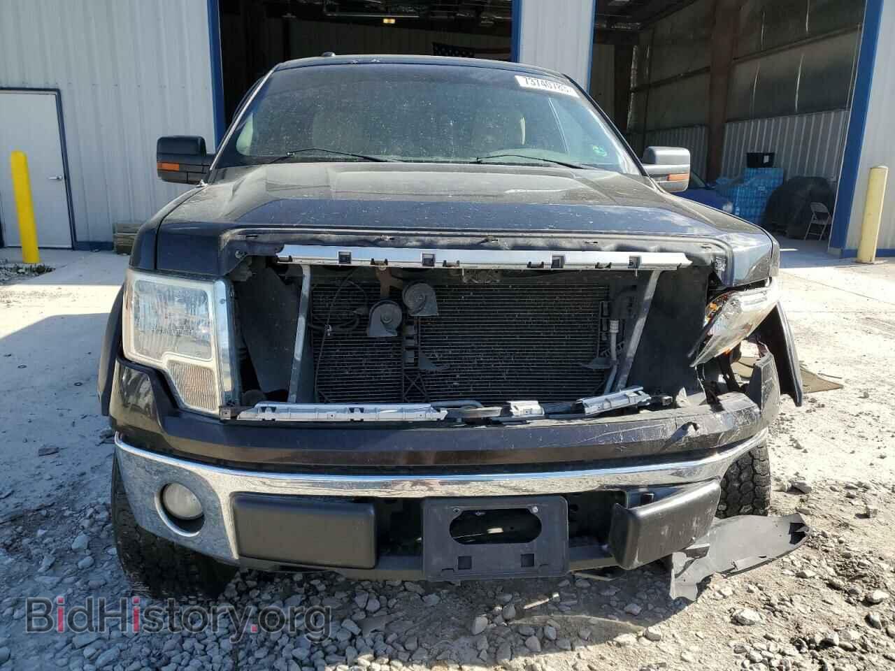2013 FORD F-150 - VIN: 1FTFX1EF4DFA70094 - Фото 5