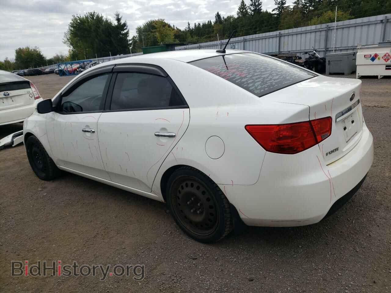 2013 KIA FORTE - VIN: KNAFW4A35D5698832 - Фото 2
