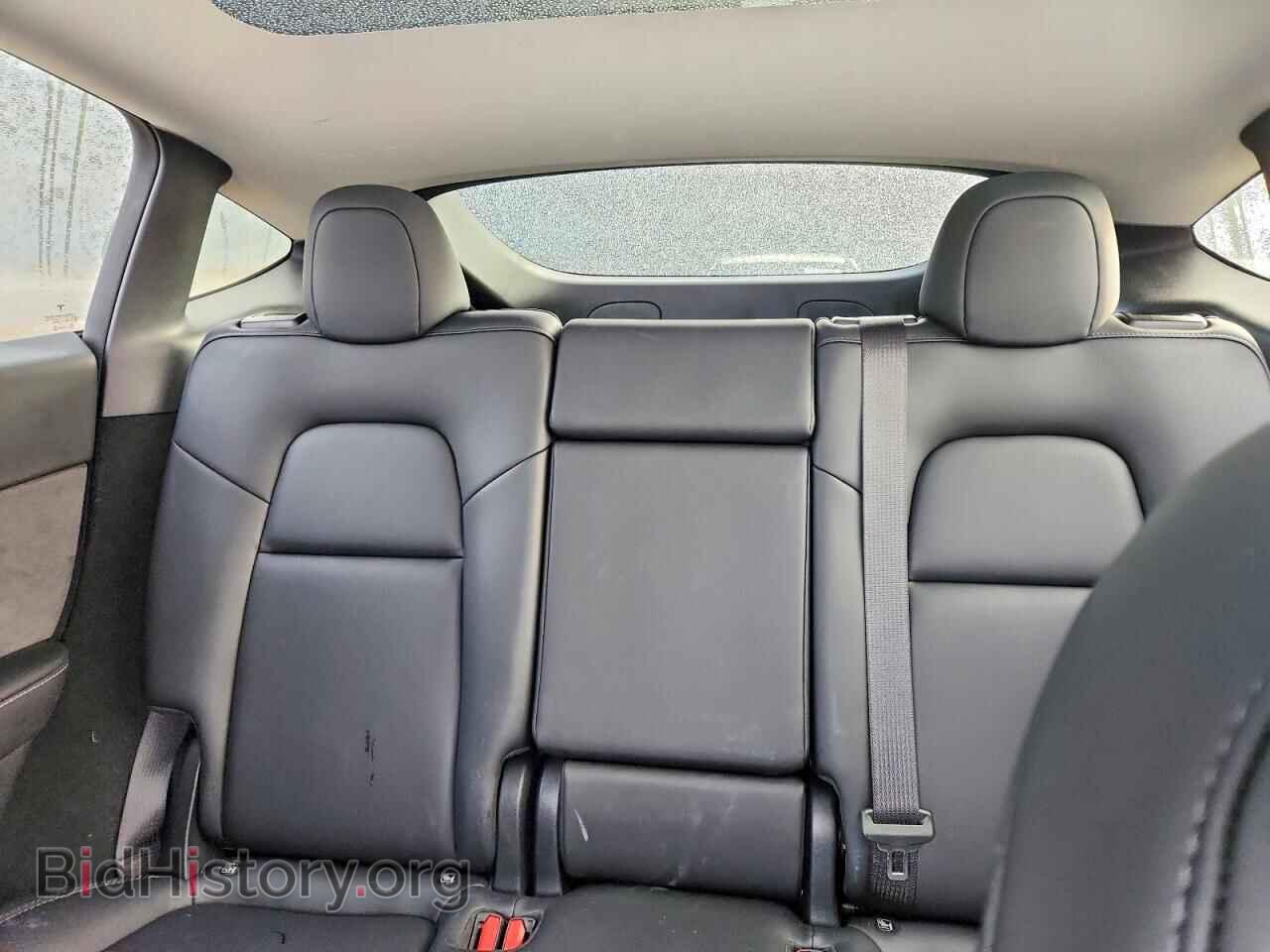 2024 TESLA MODEL Y - VIN: 7SAYGDEE8RF149087 - Фото 10