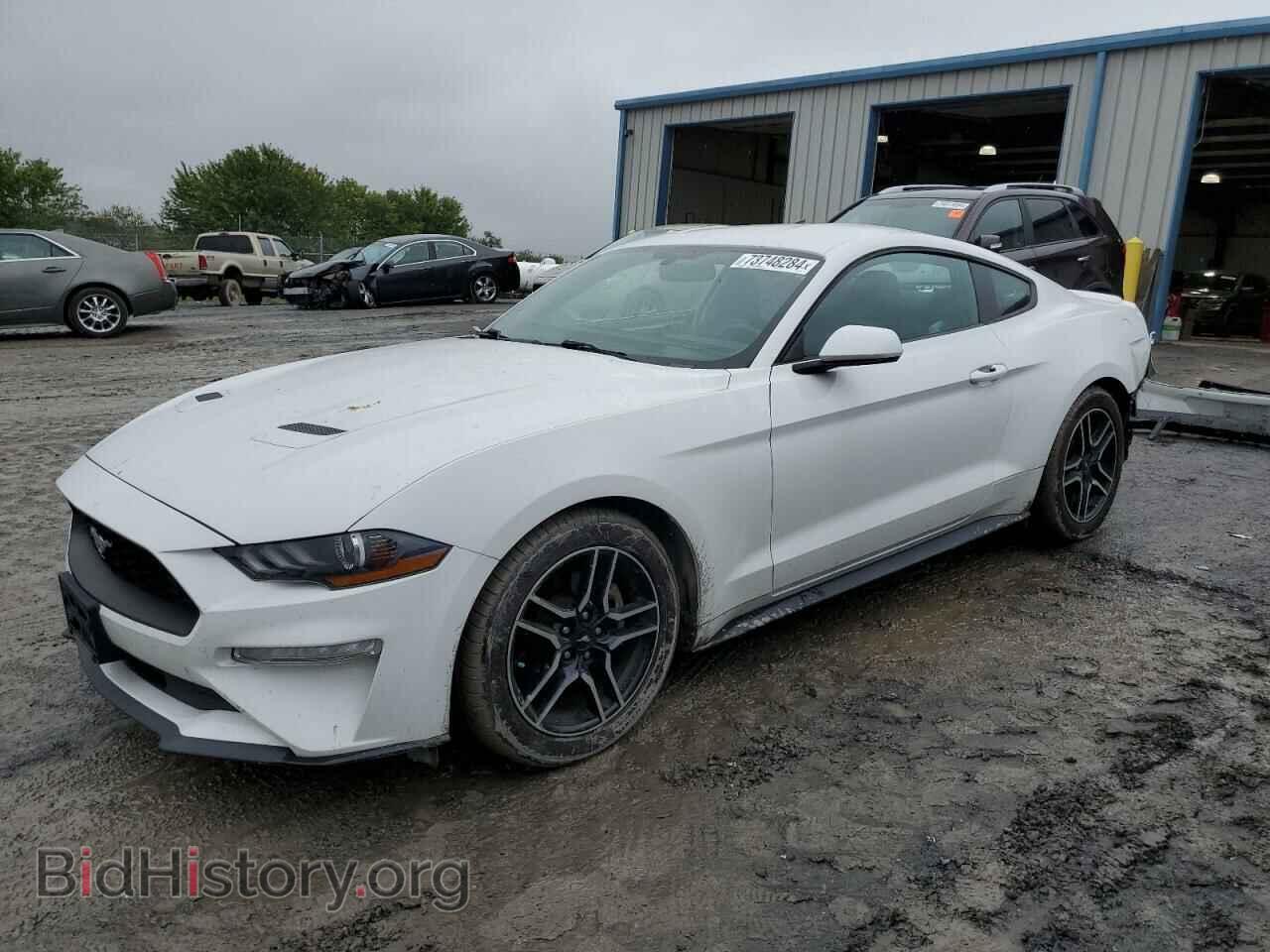 Фотография 1FA6P8TH9K5133423 - FORD ALL Models 2019