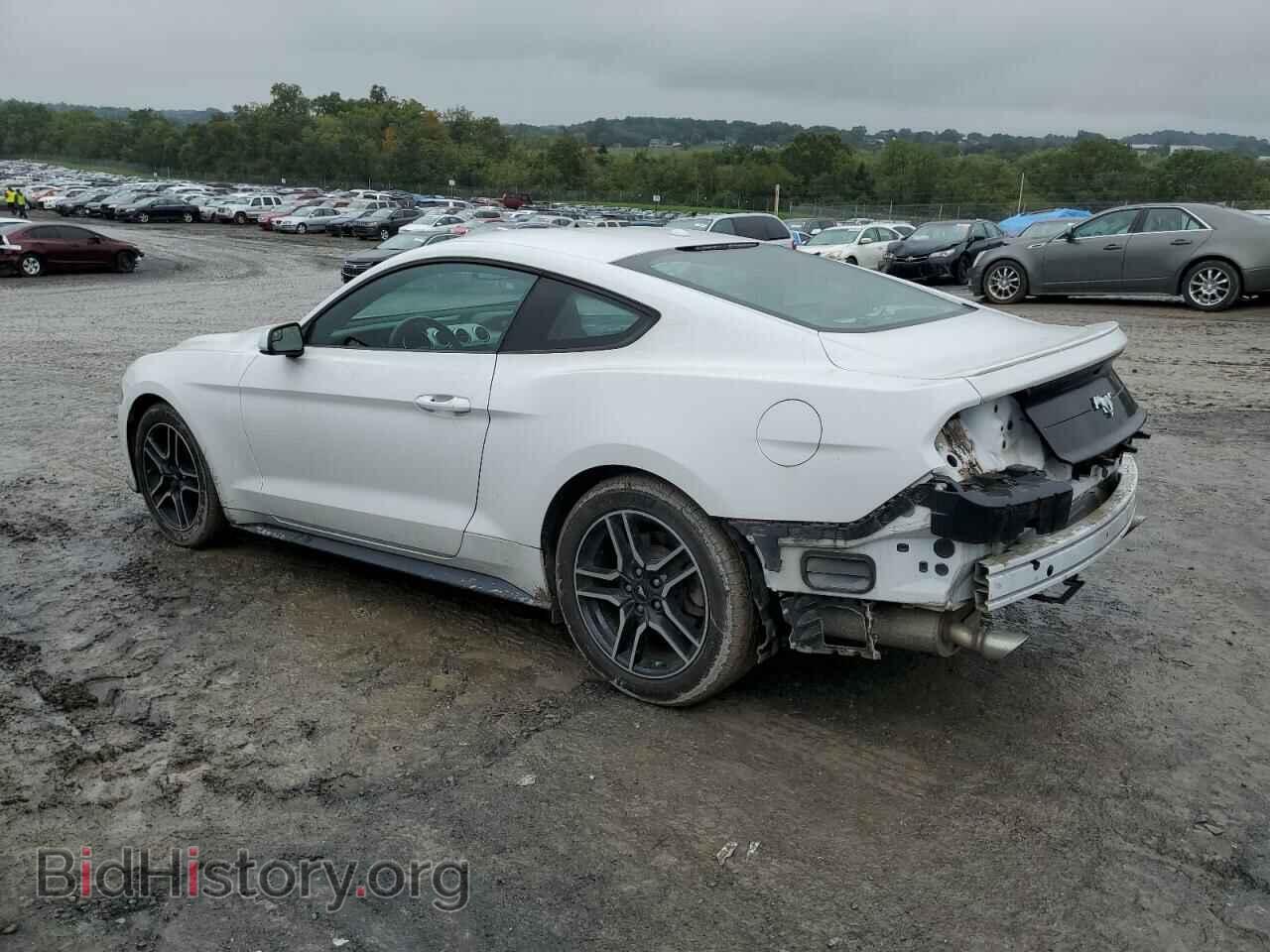 2019 FORD ALL Models - VIN: 1FA6P8TH9K5133423 - Photo 2