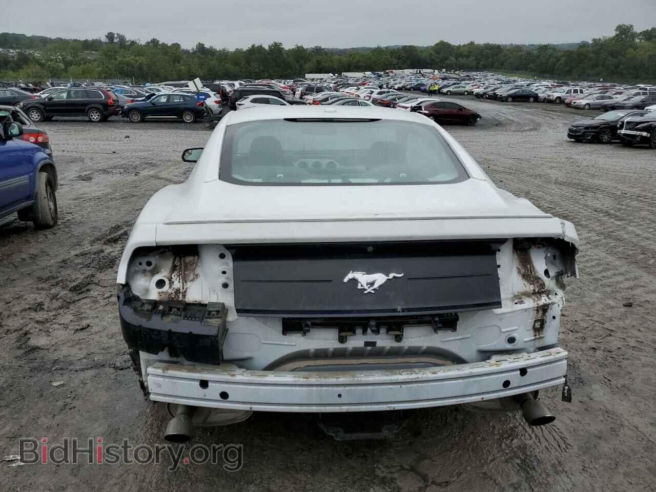 2019 FORD ALL Models - VIN: 1FA6P8TH9K5133423 - Photo 6