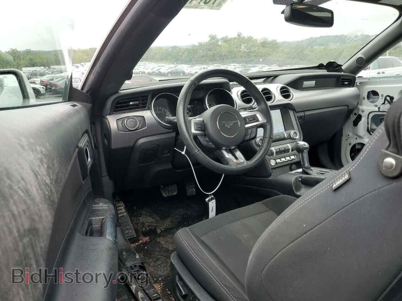 2019 FORD ALL Models - VIN: 1FA6P8TH9K5133423 - Photo 8