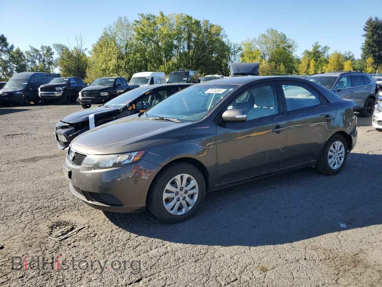 Фотография KNAFU4A20A5174996 - KIA FORTE 2010