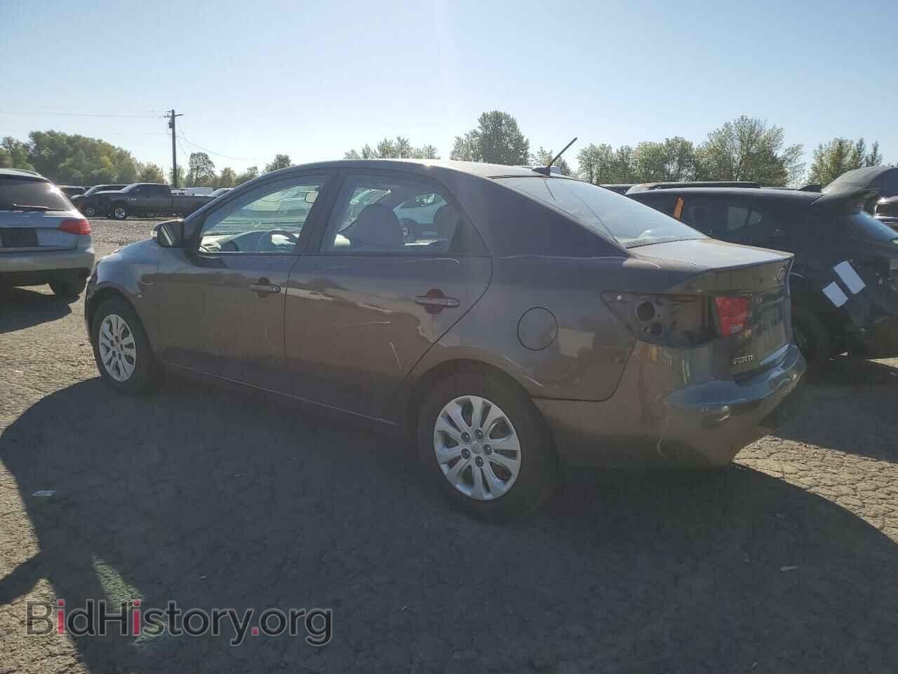 2010 KIA FORTE - VIN: KNAFU4A20A5174996 - Фото 2