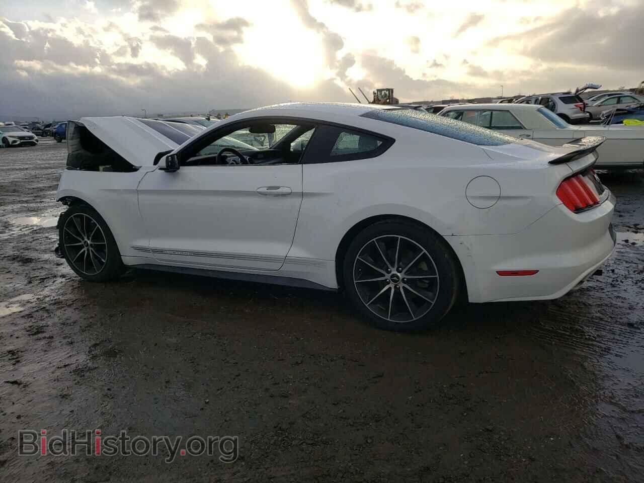2017 FORD MUSTANG - VIN: 1FA6P8TH4H5291984 - Фото 2